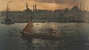 undefined Images